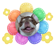 659932531