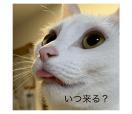 659937453