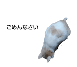 659944491