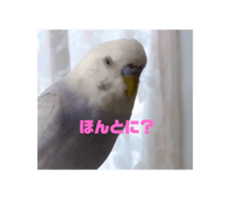 659950943