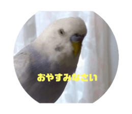 659950948