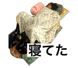659953063