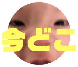 659955685