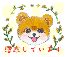 659955716