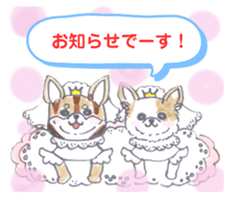 659955717