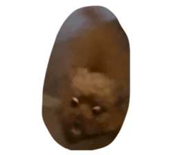 659955791