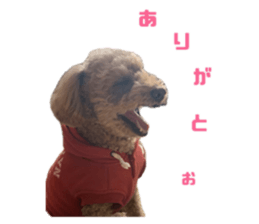 659959089