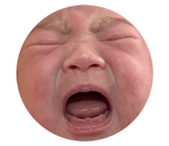 659960597