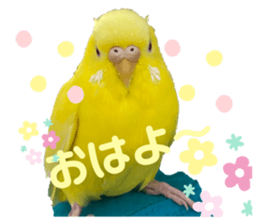 659962273