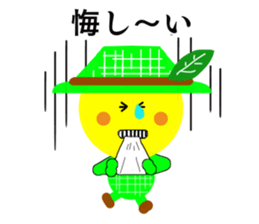 6600087