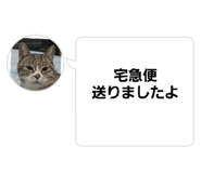 660077987