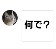 660077995