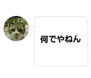 660078004