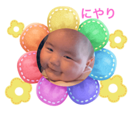 660088816