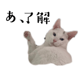 660121189