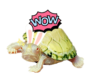 660181838