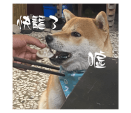 660214235
