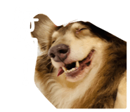 660224717