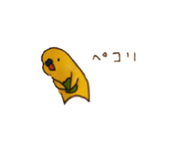 660275505