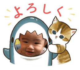 660294554