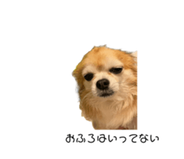 660325801