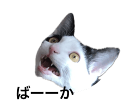 660326526