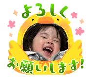 660331084