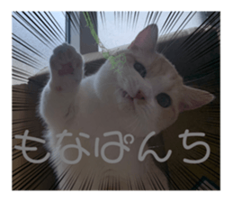660334938