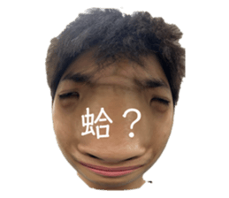 660376710