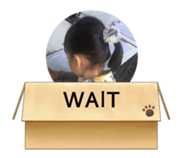 660392811