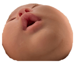 660401833