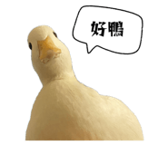 660496647