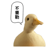 660496652