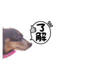 660533920