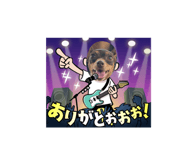 660533928