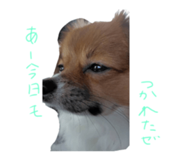 660534447