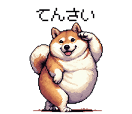 660570209