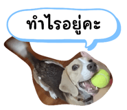 660571711
