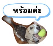 660571713