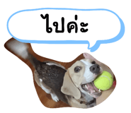 660571714