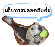 660571715