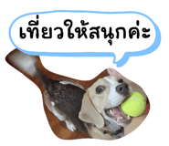 660571716