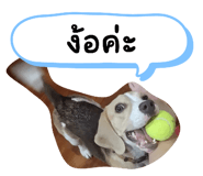 660571717