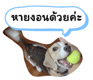 660571718