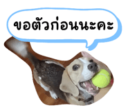 660571719