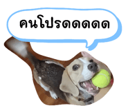 660571720