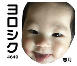 66058636