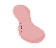 660600713