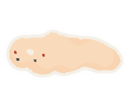 660600716