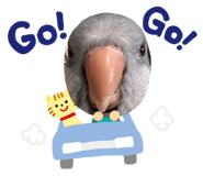 660609930